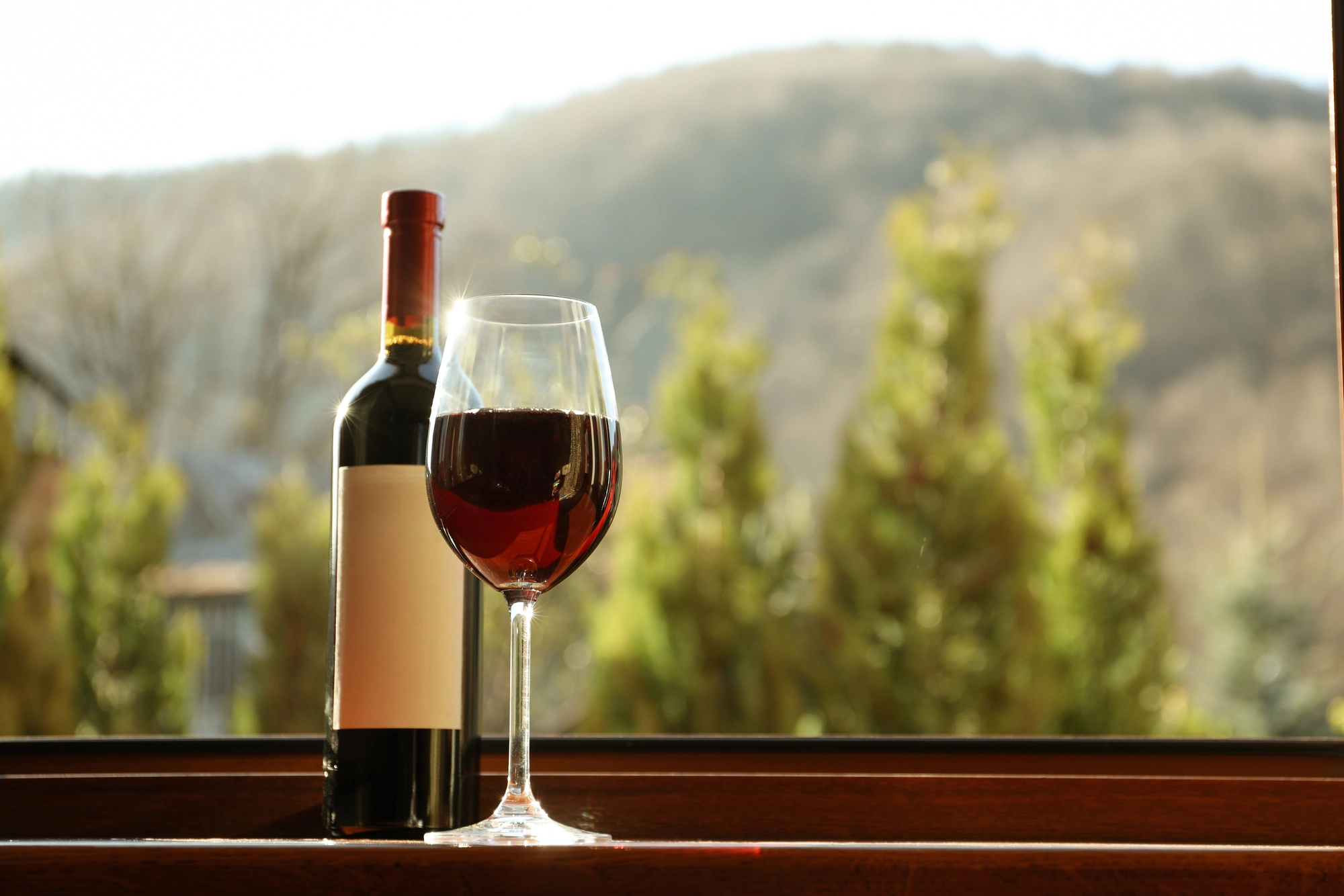Botella y copa de vino