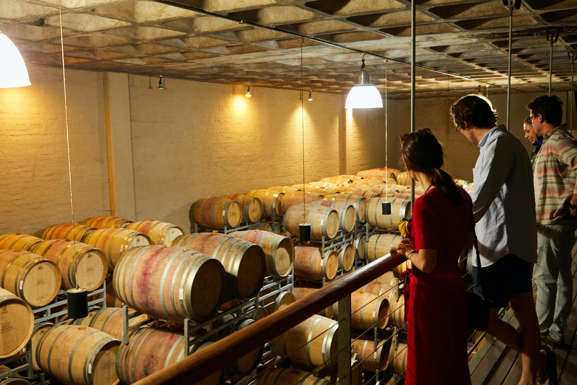 Visita guiada a la bodega