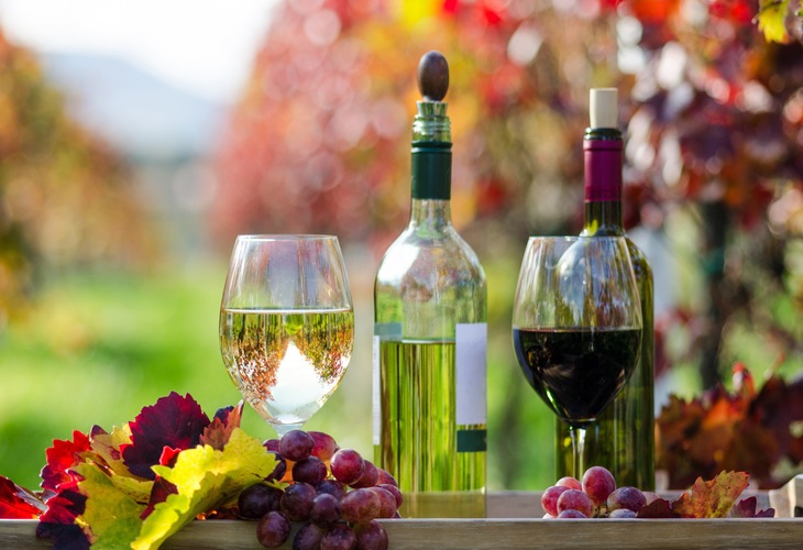 Vino tinto y vino blanco
