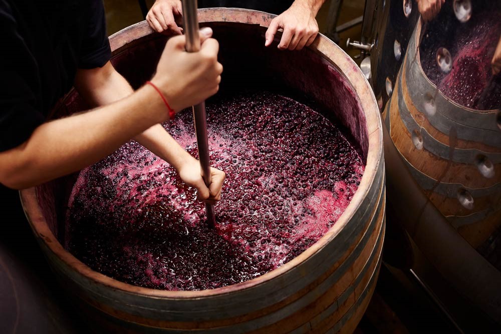 Preparacion del vino